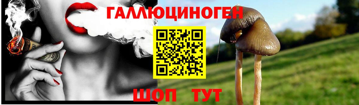 Галлюциногенные грибы прущие грибы  Вход с VPN  Кудымкар  Галлюциногенные грибы Magic Shrooms 